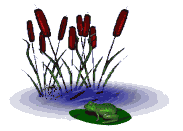 frog.gif